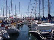 Sejlbåde tæt pakket i Skagen havn